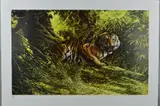 EYE OF THE TIGER' a limited edition print of a snarling tiger 351/850 by Spencer Hodge, print, sold Jun 2018