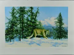 MOUNTAIN LION' a limited edition print 13/350 of a mountain lion in the snow by David Shepherd, print, sold Jun 2018