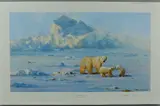 Polar bear country by David Shepherd, print, sold Jun 2018