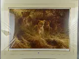 MOTHERS PRIDE' a limited edition print 237/500 of a lioness and her cubs by Dick van Heered, print, sold Jun 2018