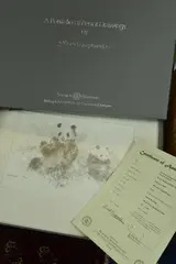 a Soloman & Whitehead boxed portfolio of four limited edition mounted prints of pencil drawings, elephants, cheetahs, pandas and tigers No.243/495 by David Shepherd, pencil, sold May 2018