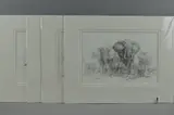 Portfolio of pencil drawings by David Shepherd, PENCIL, sold May 2018