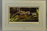 'warning', a limited edition print 283/500 of a Tiger in water, signed by Spencer Hodge, print, sold May 2018