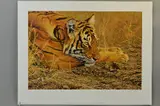 Always alert by Alan M. Hunt, print, sold May 2018
