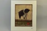 Follow the bouncing ball by John Silver, print, sold May 2018