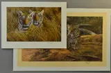 Dawns first scent by Anthony Gibbs, print, sold May 2018