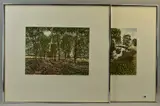 Oxbow lake' and 'dapple lane by Graham Evernden, pencil, sold May 2018