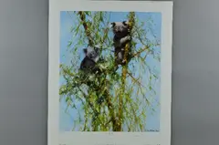 Up a gum tree by David Shepherd, print, sold May 2018