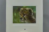 Cub scout iv by Joel Kirk, print, sold May 2018
