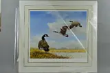 CANADA GEESE' a limited edition print 386/950 by Spencer Hodge, print, sold May 2018
