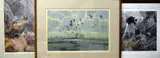 Pink Feet in the Green Marshes by Peter Scott, print, sold Apr 2018