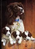 'All above Board', a limited edition print of a Spaniel and by Nigel Hemming, print, sold Apr 2018