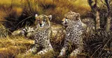 'Cheetahs', a limited edition print 68/95, signed and numbered in by Michael Jackson, print, sold Apr 2018
