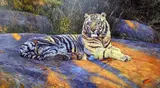 'The Great White Tiger', a limited edition print 753/1500, by Anthony Gibbs, print, sold Apr 2018