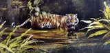 Warning' a limited edition print of a Tiger in water 286/500 by Spencer Hodge, print, sold Apr 2018