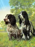 Cocker -two' a limited edition print 144/500 of two Spaniels in a field by Nigel Hemming, print, sold Apr 2018