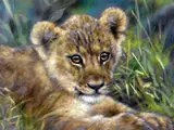 Cub Scout III' a limited edition print 84/195 of a Lion cub in grass by Joel Kirk, print, sold Apr 2018