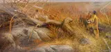 Serengeti Lionesses' a limited edition print 384/395 featuring three lionesses by Dick van Heerde, print, sold Apr 2018