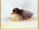 'Duckling', a watercolour, signed and dated 1984 lower by Ian Armour-Chelu, 1984, watercolour, sold Apr 2018