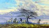 'AFTER THE RAIN', a limited edition print 5/850, signed and numbered in pencil, by David Shepherd, print, sold Mar 2018