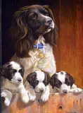 'ALL ABOVE BOARD', a limited edition print 289/500, signed and numbered in pencil, by Nigel Hemming, print, sold Mar 2018