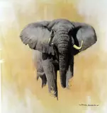 'AFRICAN BULL ELEPHANT', a limited edition print 511/850, signed and numbered in by David Shepherd, print, sold Mar 2018