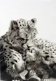 'NO GREATER LOVE', an artist proof 7/49, signed and numbered in pencil, with by Wendy Corbet, pencil, sold Mar 2018