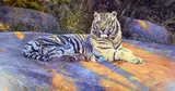 'GREAT WHITE TIGER', a limited edition litho print 3/1500, signed and numbered in by Anthony Gibbs, print, sold Mar 2018