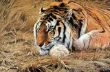 'EVER ALERT', a limited edition print 935/950, signed in pencil, with certificate, some by Alan M. Hunt, print, sold Mar 2018