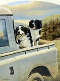 'BACK SEAT DRIVER', a limited edition print 713/850, signed in pencil, mounted, by Nigel Hemming, print, sold Mar 2018
