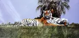 'SLEEPING IT OFF', a limited edition print 289/500, signed in pencil, mounted but by Spencer Hodge, print, sold Mar 2018