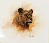 'LIONESS',a limited edition print 552/850, signed and numbered in pencil, mounted by Tony Forrest, print, sold Mar 2018