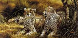 'CHEETAHS', an artist proof 9/9, signed and numbered in pencil, with certificate, by Michael Jackson, pencil, sold Mar 2018