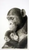 'SAFE IN THE ARMS', an artist proof print 7/49, signed and numbered, with by Wendy Corbett, print, sold Mar 2018