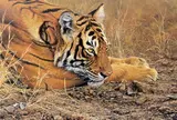 'ALWAYS ALERT', a limited edition print 142/395, signed and numbered with by Alan M. Hunt, print, sold Mar 2018