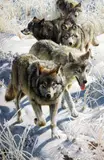 'MILES TO GO', a limited edition print 2755/4500, signed and numbered in pencil, by Carl Brenders, print, sold Mar 2018