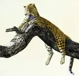 'CHUI', a limited edition print 261/275, signed, titled and numbered, with by Simon Combes, print, sold Mar 2018