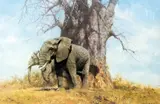 OBE FRSA, 'BAOBAB AND FRIENDS', a limited edition print 824/950, signed and numbered by David Shepherd, print, sold Mar 2018