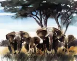 'SUDDEN ENCOUNTER', a limited edition print 495/600, signed and numbered in by Wolfgang Weber, print, sold Mar 2018