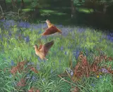Snipe in a bluebell meadow Signed Oil on board 76 x 92cm by Douglas Anderson, Oil on board, sold Jun 2017