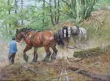 Woodland work Signed Oil on canvas 46 x 61cm Condition report: Unlined, good condition by Rosemary Sarah Welch, Oil on canvas, sold Jun 2017