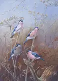 Autumn woodland, chaffinch Signed and dated 1959 Watercolour with bodycolour 54.5 x 40cm Provenance: The Tryon Gallery Ltd., London, No by Philip Rickman, 1959, Watercolour with bodycolour, sold Jun 2017