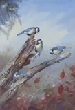Autumn woodland, great tits with goldcrests Signed and dated 1962 Watercolour with bodycolour 58 x 40cm Provenance: The Tryon Gallery Ltd., London by Philip Rickman, 1962, Watercolour with bodycolour, sold Jun 2017