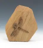 Untitled by David Purslow, Carved wood, sold Jun 2017