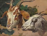 Head studies of goats Signed and dated 1896 Oil by Fortunino Matania, 1896, Oil on board, sold Mar 2017