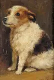 A terrier in an interior Signed Oil on canvas 32 x 22cm; 12½ x 8½in Provenance: Private Collection, Somerset by Samuel Fulton, Oil on canvas, sold Mar 2017