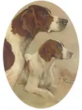 Seated hounds Signed Oil on canvas laid down on board, oval 38 x 28cm; 15 x 11in Provenance: Private Collection, Somerset by Charles Jean Renaud, Oil on canvas laid down on board, oval, sold Mar 2017