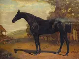 A hunter in a paddock Oil by Charles Bilger Spalding, Oil on canvas, unframed, sold Mar 2017