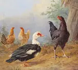 A muscovy duck, cockerel and hens Signed Oil on board 25.5 x 27.5cm; 10 x 11in General condition report One or two minor blemishes, good condition by Henry Charles Bryant, Oil on board, sold Mar 2017