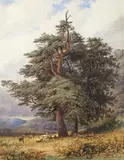 Untitled by Lewis B. Shepherd, Watercolour, sold Mar 2017